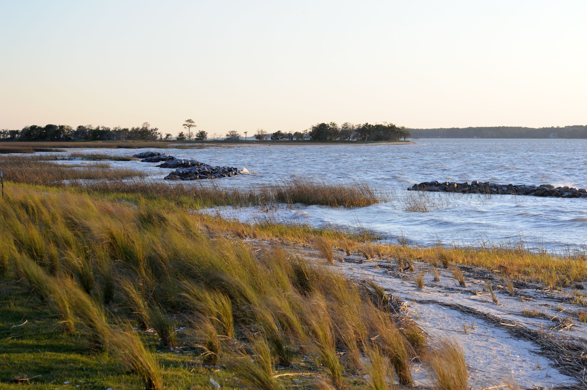 Scenery of Hilton Head Island